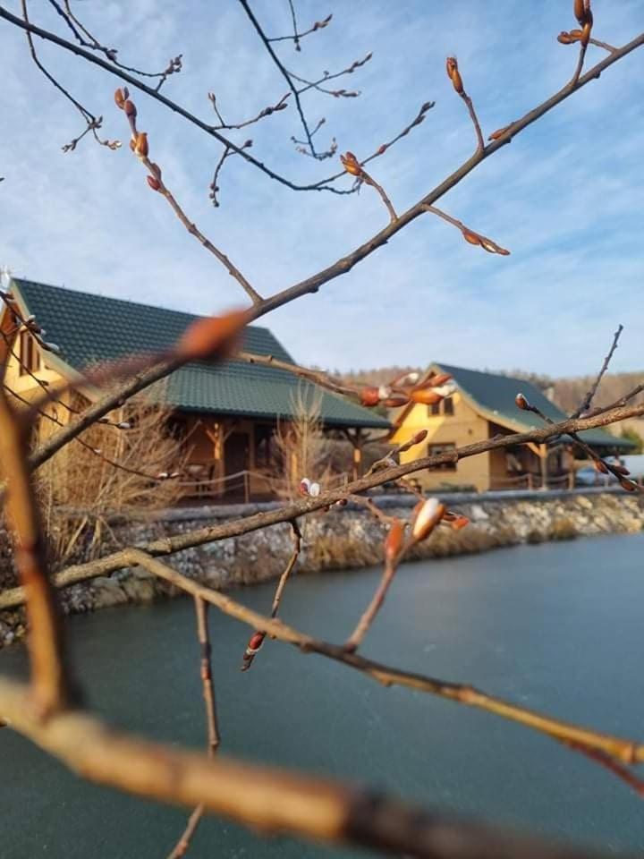Domki Gorska Zatoka Stronie Śląskie Buitenkant foto